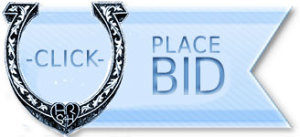 Click to Place Bid