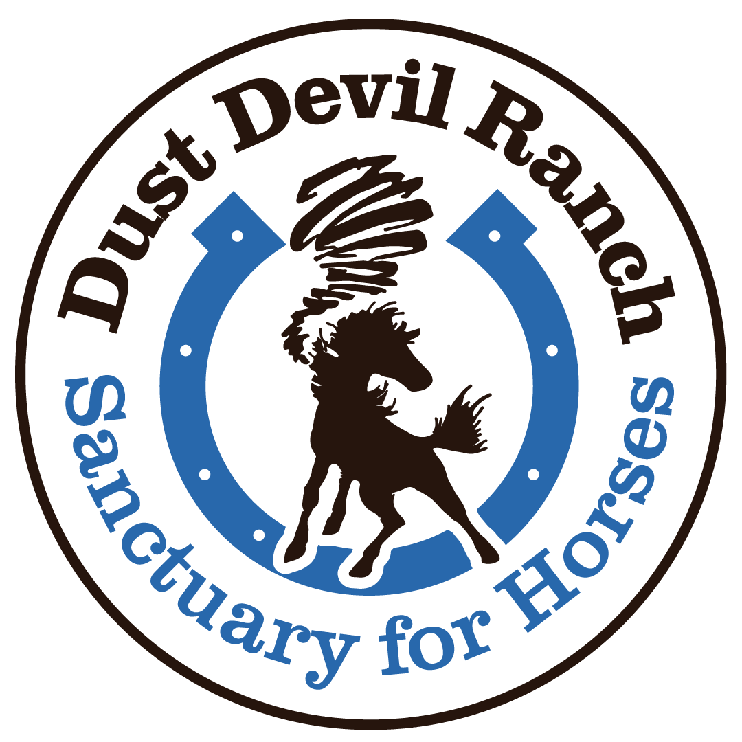Dust Devil Ranch Sanctuary for Horses