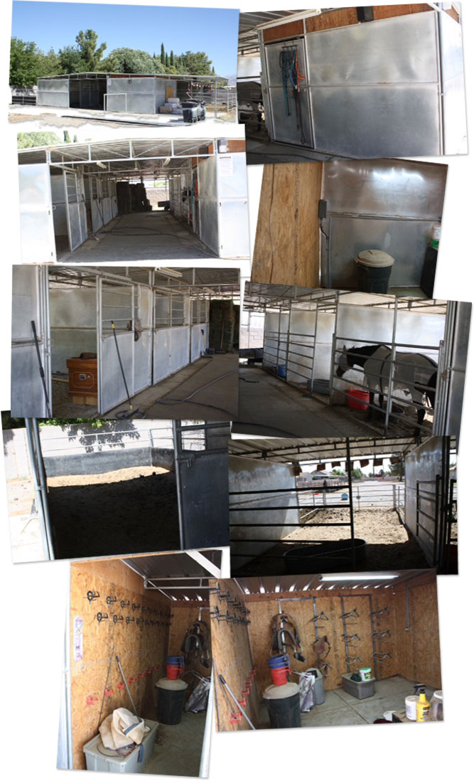New Barn for Horse Rescue
