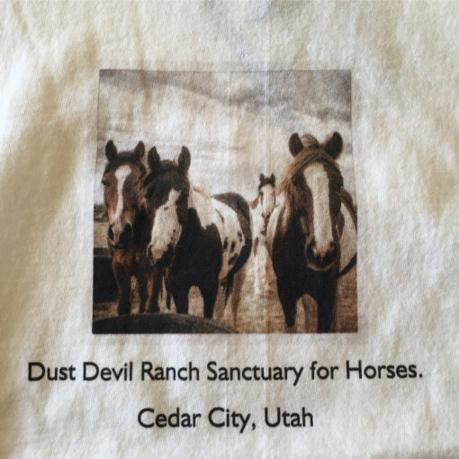 Kid's T-Shirt with Dust Devil Ranch Sanctuary for Horses Print