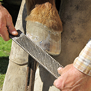 farrier-180x180